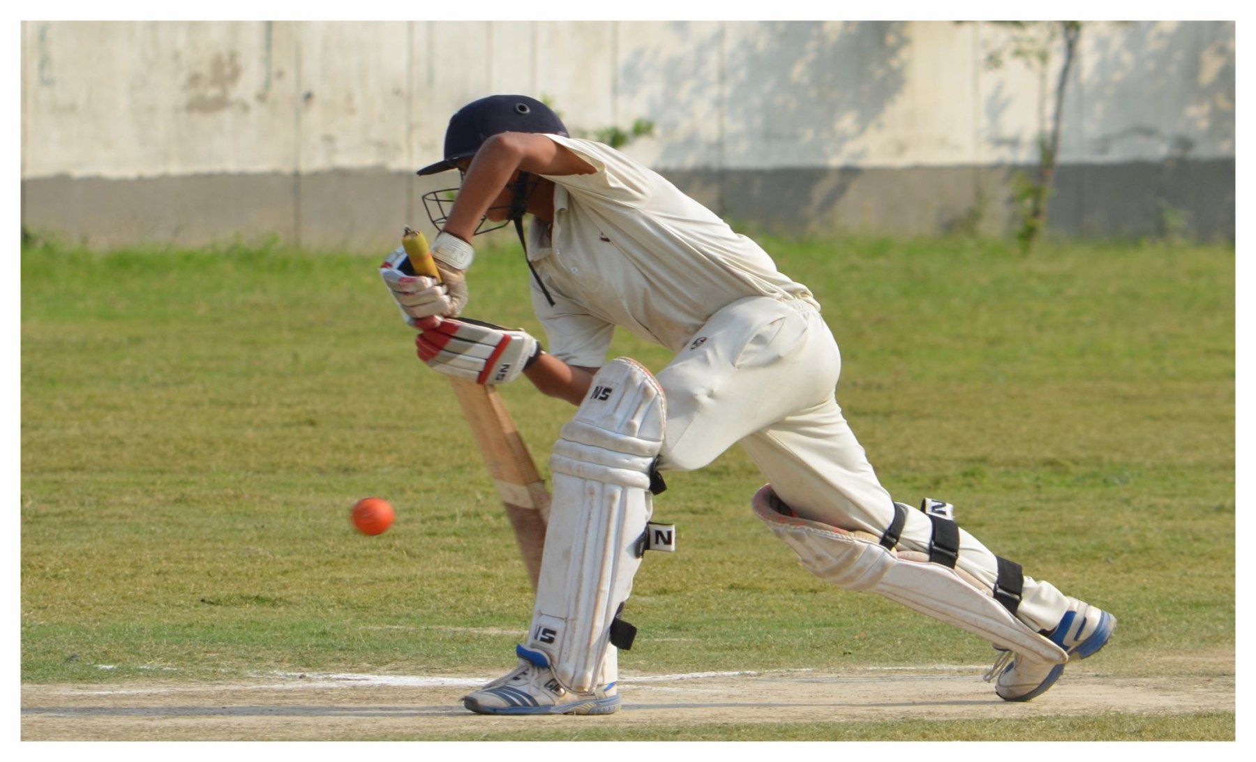 Cricket & Sports Arena